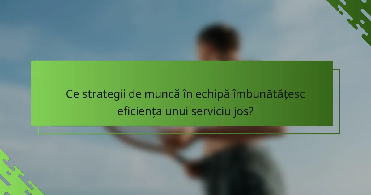 Ce strategii de muncă în echipă îmbunătățesc eficiența unui serviciu jos?
